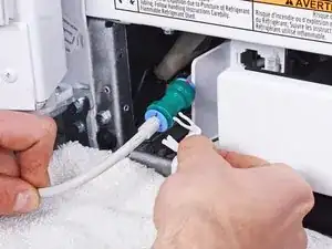 1nWXdqGPtgTHHSbd