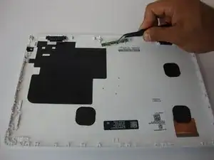 4dNmRdxWNNCppOCY