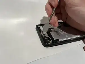 5jdLekpmVZyZRgPu