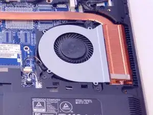 fan