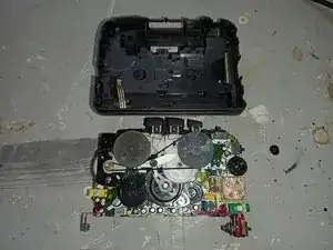 CDVuCbQFlXh1srRo