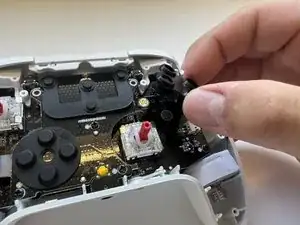Button Gaskets