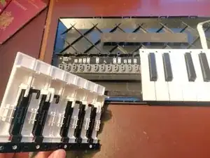 DuWcNJGggNNFvLAe
