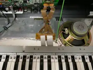 FZJtjCKG41nGd1aG
