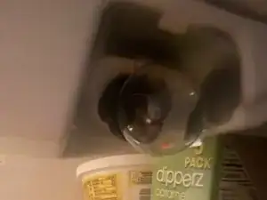 Lightbulb