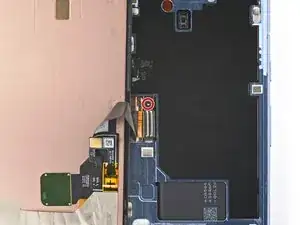 MVW1AG6inFVxvpwR