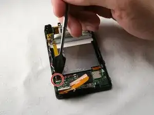 NmppepLFdAoW5i3Y