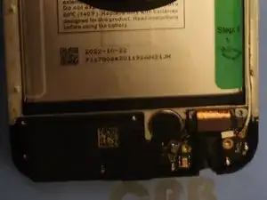 PKammVqZ1eLUwOed