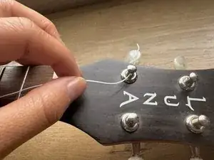 Ukulele Strings