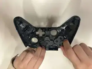 QQPjQlKNrGwuLTnG