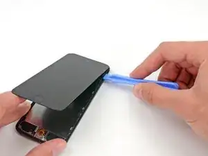 Display Assembly