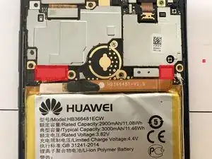 XHF6OTZNuoJB1EbC