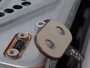 YRccqGJmWTmNrtsX