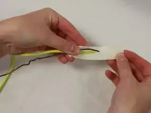 bq5gmCDIVqPWqtlH