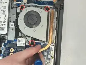 Fan