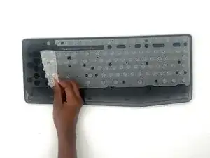 eBLORAZwD6e6qEqm
