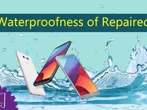 Back Glass Cover