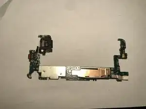 f3vVmN2ttvWjYlWi