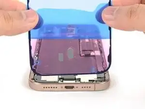 jjejh2P66hhtW1iB