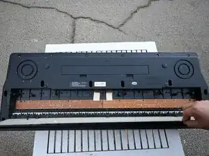 pCd4YQcTORFcMc1E
