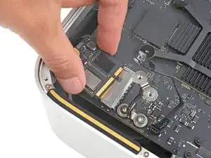 pZG3OYTiM1MsBNUc