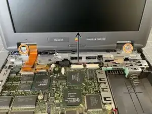 sRV1tkMVunIdhwxY