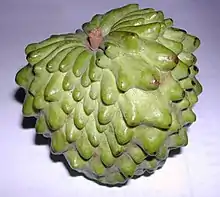 Atemoya (A. cherimola × A. squamosa)