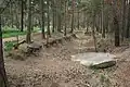 Image 32Pineferous forest of the sandy Bagshot Formation spanning parts of four boroughs towards the north-west and in the far west of the county, with defensive positions for historic army training near Deepcut and Pirbright (from Portal:Surrey/Selected pictures)