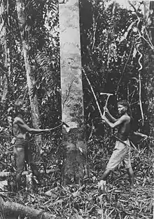 Image 8Vaγimba- "Those of the forest" in Proto–Southeast Barito, the reconstructed ancestor of the Southeast Barito languages, which includes the languages spoken by the Dayak peoples of the Barito River in Borneo.  (from History of Madagascar)