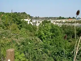 Chafford Gorges