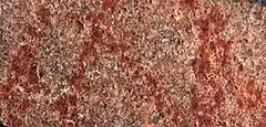 A cave wall with a number of abstract red lines drawn upon it