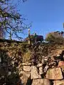 Cornish hedge and sheep at Sharptor