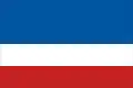 The flag of the Ruthenians World. also used as the Ruthenian Ethnic Minority Council Flag