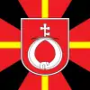 Flag of Ternopil Raion