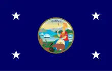 Flag of the governor