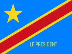 Presidential Standard of Democratic Republic of the Congo