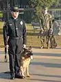 Police Officer Reynolds prepares to turn over Lex to the Lee family