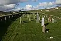 The cemetery