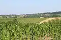 Paune - panorama