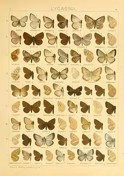 81e, f