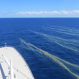 Image 53Trichodesmium bloom off the Great Barrier Reef (from Environmental threats to the Great Barrier Reef)