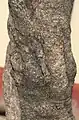 A Nyctanthes trunk from India