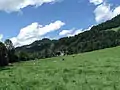 between Walchsee and Rettenschoss, panorama