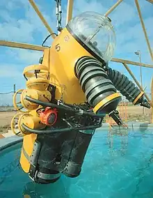 Wasp